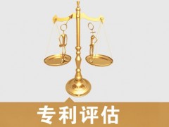 專利的價(jià)值評估，新手賣家必看